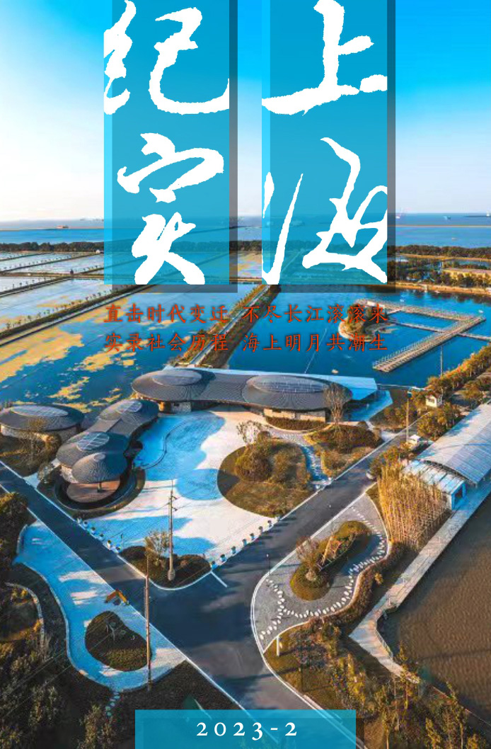 上海紀實